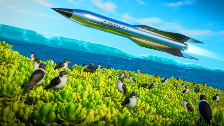 „Diese Vögel Werden Uns Alle Stoppen“: Seevögel Erzwingen Schockierendes Aus für SpaceX und US Air Force Hyperschall-Raketenprogramm